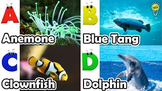 ABC Sea Animals Song 🐠 | Learn Alphabet A to Z with Ocean Animals | Kids Learning Video for Toddlers