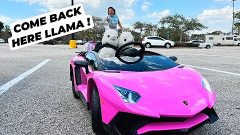 MY LLAMAS RAN AWAY !! | OPENING UP REAL LITTLES BA...