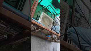 Blue Star Cassette Ac Compressor Short | How To Check Compressor Shorting || BABLU