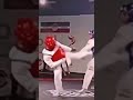 Taekwondo fight status