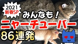 2021年のスタートは猫と一緒に！ニャーチューバー86連発！！今年もよろしくにゃーん！【マスクにゃんニュース新春SP】