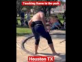 The lessons never stop #sumo #houston #houstontx #martialarts