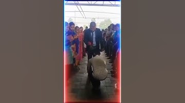 GDD MR pradeep Kumar Verma grand entry#viralshort#viralvideo#trending#galway#glazetradingindiapvtltd