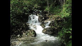 Водоспад Білий Нижній (Рахівський р-н, с. Ділове), 10/08/19