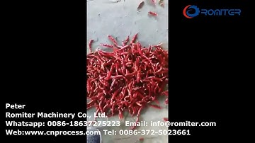 Automatic Chili Pepper Color Sorting Plant
