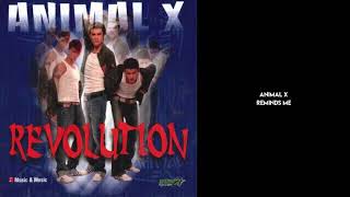 Download Lagu Animal X - Reminds me (Official Audio) MP3