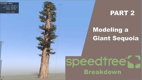 Creating a Giant Sequoia: Part 2 - Speedtree Breakdown