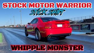 Stock Motor Cobra Goes 8’s With A Whipple And A Man Pedal!!! - Episode #035