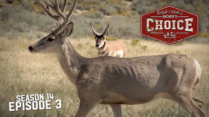 Wyoming Antelope & Mule deer Part 1 - Archer’s Choice (Full Episode) // S14: Episode 3