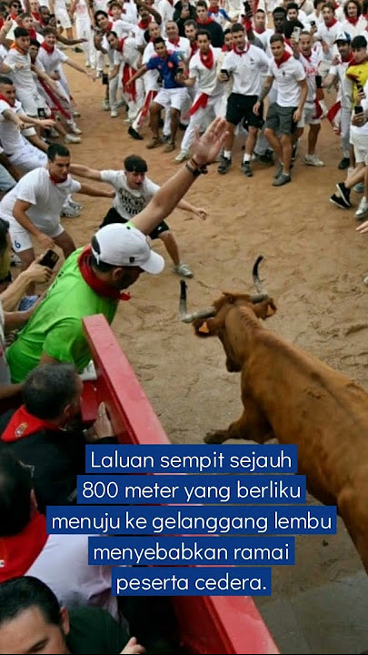 6 lagi cedera dirempuh lembu Pamplona
