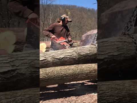 Logging in Pa: Lumber Capital Log Yard