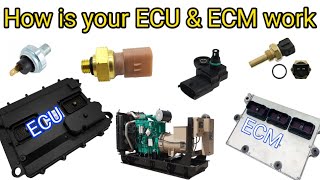 Engine ECU vs ECM: What's the Difference and How Do They Work with Sensors and injectors ?