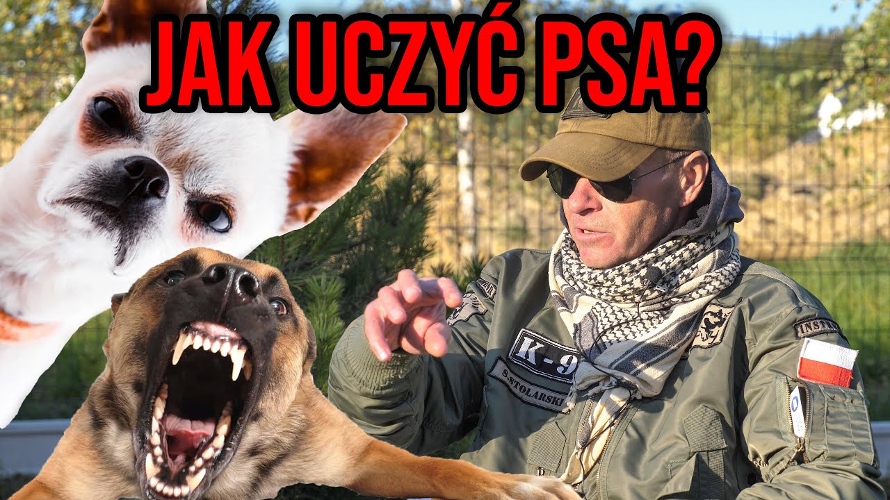 Pies atakuje agresywnego mężczyzne.