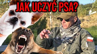 JAK ODUCZYĆ PSA AGRESJI ?!