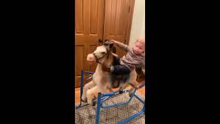 Boy falls from rocking horse