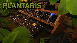 plantaris .. ambient modular performance .. digitone, digitakt, a4, nebulae, rings, clouds, neutron
