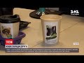 Новини України: в одній з кав'ярень Дніпра волонтерам допомагають знайти власників для собачок