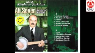 Ali Seven - Aşıkmısın Arkadaş  (klarnet ve cümbüşlü ses müzik ayrı stero kayıt)