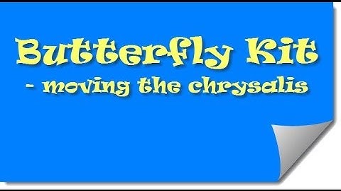 Moving Chrysalis to Butterfly Habitat