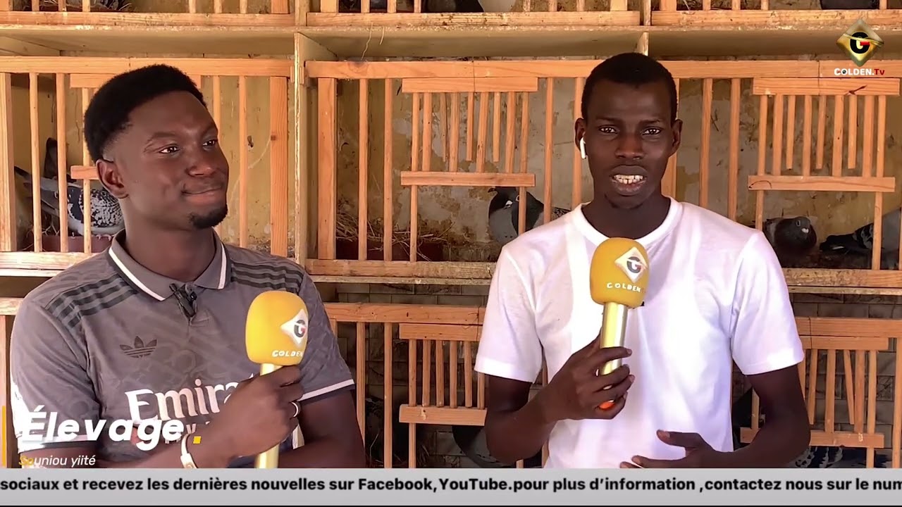 ELEVAGE SOUNOU YIITE CHEZ MADIAKHO LOFT