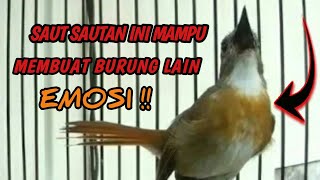 SRDC gacor || srdc cari lawan