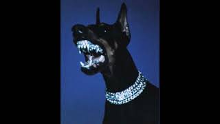 "No Remorse" - Trap Beat | Dark Trap Beat | Type Beat 2026 | Travis Scott x Playboi Carti Type Beat