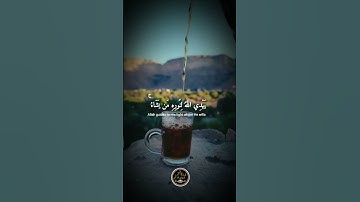 "تلاوة مريحه في سكون الليل | قرآن كريم يبعث الطمأنينة والسكينة #قرآن #خشوع #صلاة #راحه_نفسيه