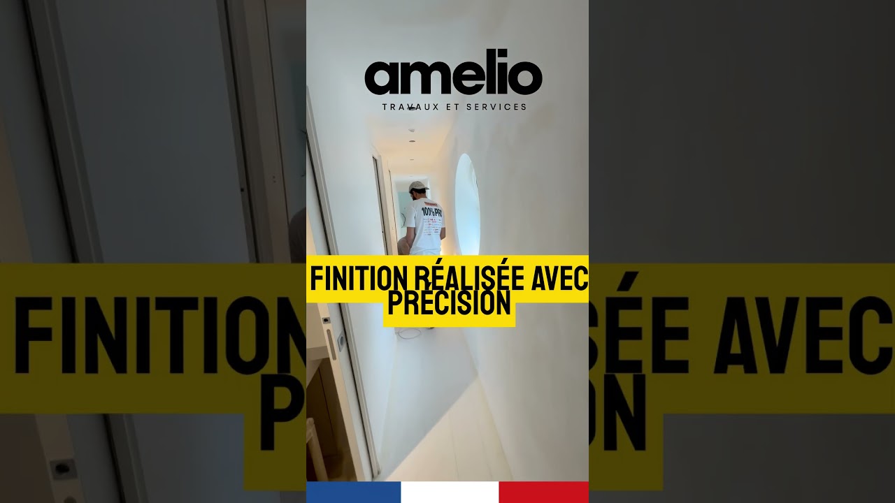 Aperçu vidéo Amelio peinture