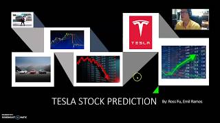 Time Series Analysis to Model and Forecast Tesla Stock Prices