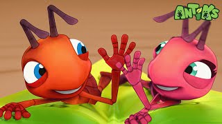 That Sinking Feeling| 😄🐜| Antiks Adventures - Joey and Boo's Playtime by Antiks Adventures - Joey and Boo's Playtime 56,273 views 1 month ago 1 hour, 35 minutes