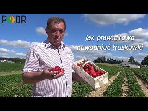 Wideo: Jak zarabiać na nieruchomościach? Branża nieruchomości