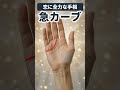 【手相】好きになったら一直線！情熱が強すぎる人の感情線