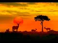 آيات تجلب الراحة و الطمأنينة سورة التوبة كاملة بجودة عالية الشيخ ماهر المعيقلي 