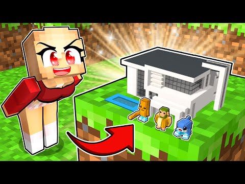 بنيت أفضل منزل لبيبي برايروت في ماينكرافت