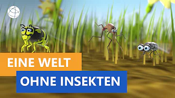 Was wäre die Welt ohne Insekten?