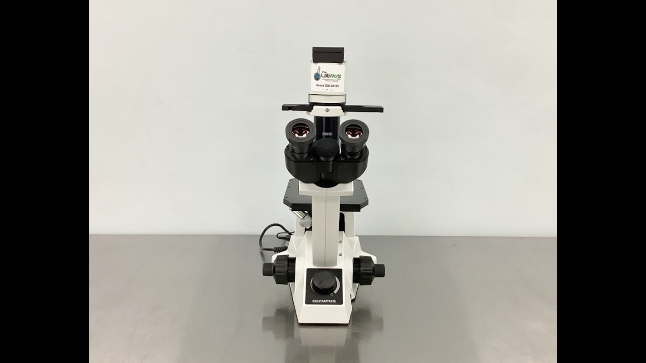 Olympus CKX31 Inverted Phase Contrast Microscope