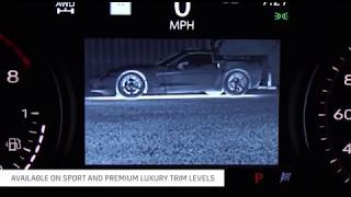 Night Vision in the XT6