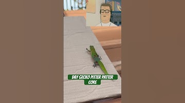 Day gecko pitter patter core #gecko #lizard #reptiles #cuteanimals #funnyanimals #funnyshort