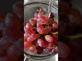 Grapesyummyfruitshorts