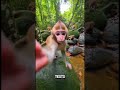 Tiny Monkey, Big Energy! 🐒🌿