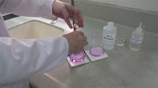 Titration of hydrochloric acid with sodium hydroxide  C0149