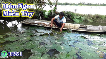 Bắt Cá Lóc Khủng Chế Biến Những Món Đặc Sản Miền Tây | Catch big fish and cook | NGÃ NĂM TV T251