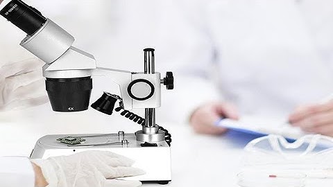 Swift S306 Magnification Forward Mounted 360° Rotatable Binocular Stereo Microscope Review, Seeing t