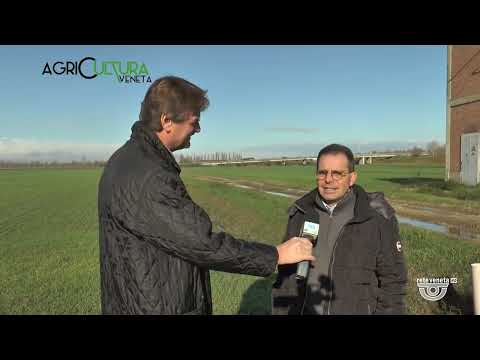 AGRICULTURA VENETA | 13/12/2022