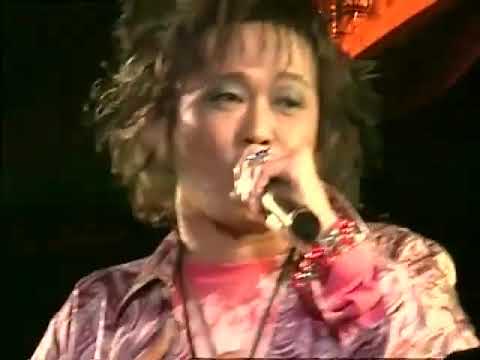 Trio Los Tin Pan with Friends (鈴木茂、細野晴臣、林立夫、久保田麻琴、忌野清志郎)
