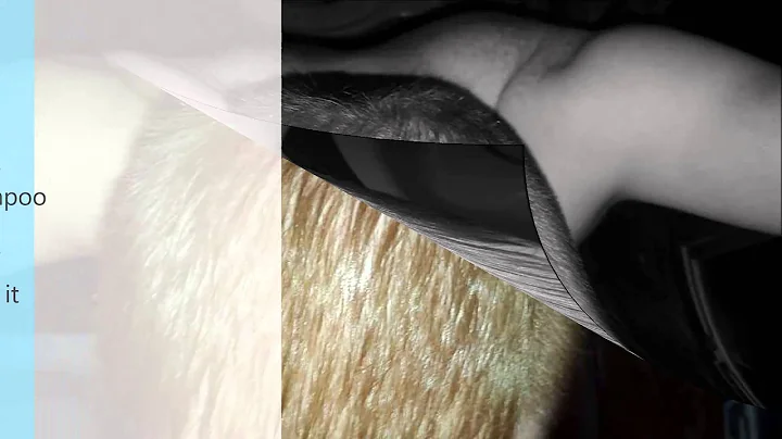 Hairs Regrowth - Revita Shampoo Effects