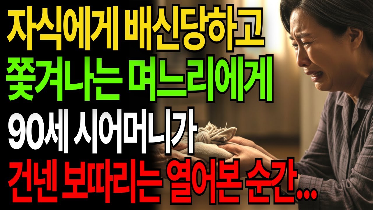 자식에게 배신당하고 쫓겨나는 며느리에게 시어머니가 던진 보따리 열어본순간, 손이 떨리고 심장이 멎을뻔했습니다|고부갈등|고부사연|시니어사연|오디오북|인생사연|실화사연|노후사연|