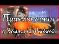 "Новогодние Приключения с Золотой Рыбкой..." с мультимедийной презентацией в Старшей группе