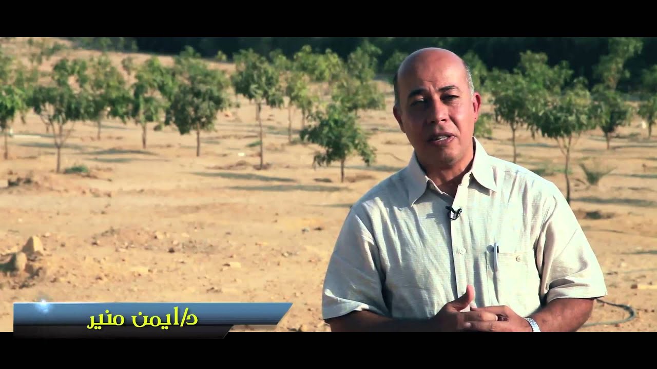 مين هي إيزابل دي؟!!!