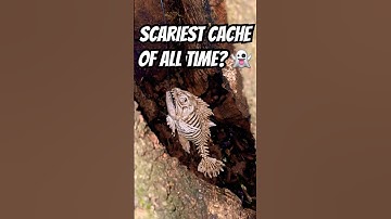 Would you be brave enough to reach for this cache, or would you log a DNF? Scariest Geocache ever?